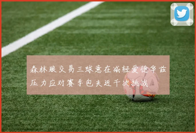 森林狼交易三球意在减轻爱德华兹压力应对赛季包夹近千次挑战